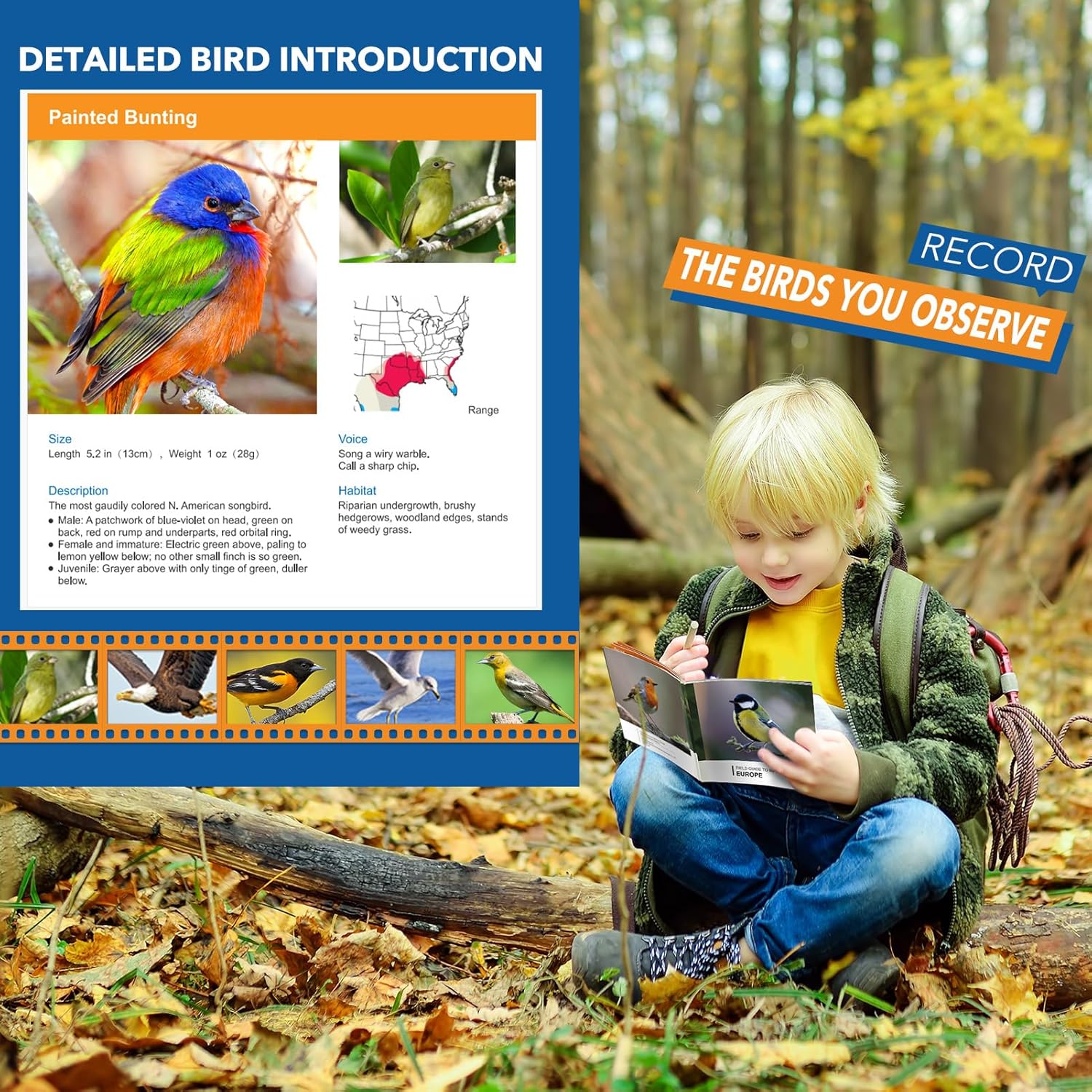 Kids Binoculars