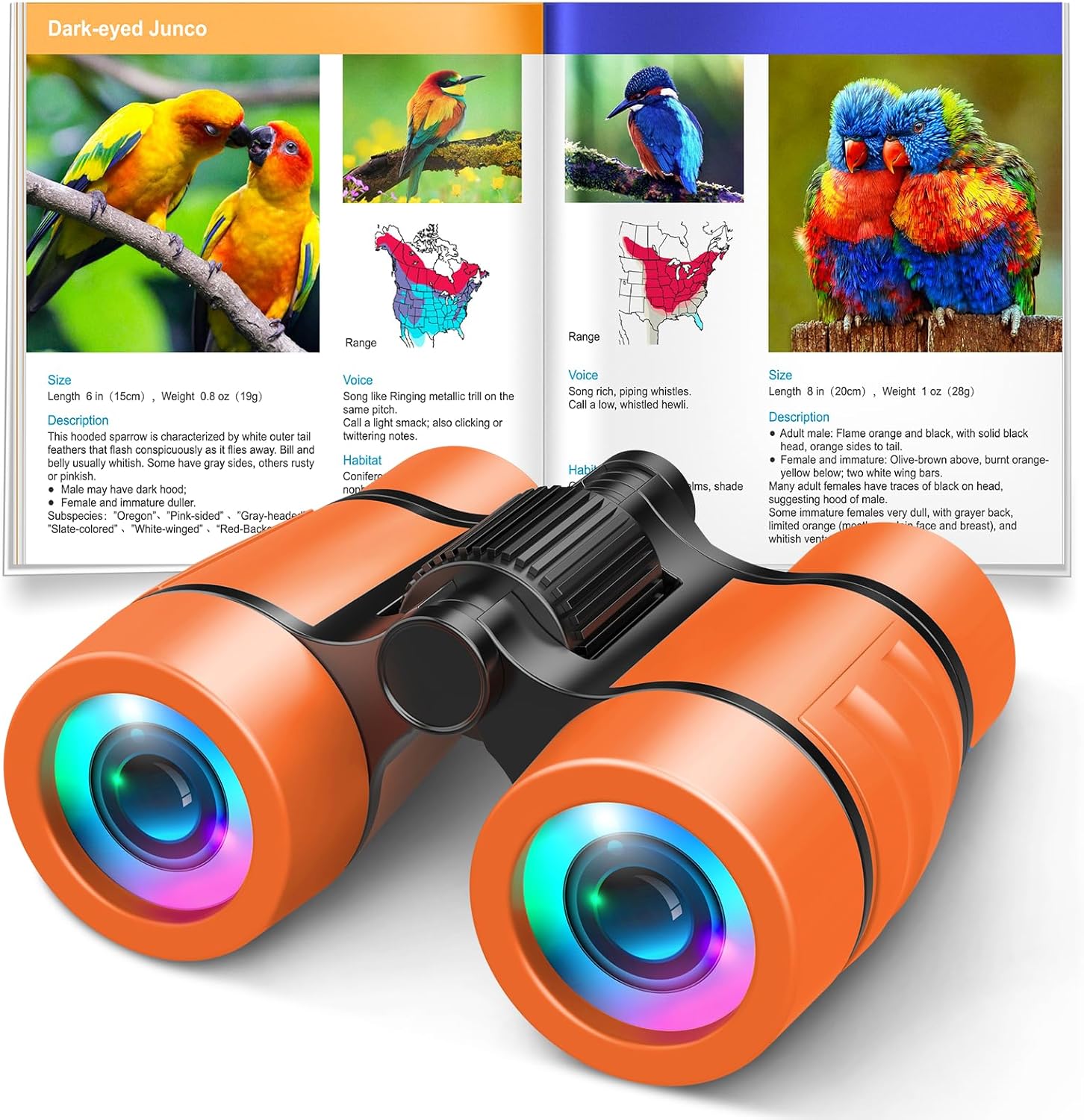 Kids Binoculars